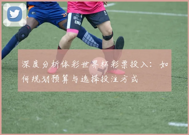 深度分析体彩世界杯彩票投入：如何规划预算与选择投注方式